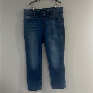 Classic Blue Lee Riders Women's Jeans